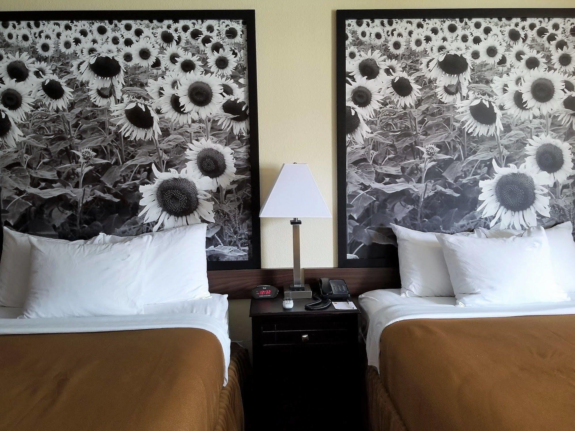 Super 8 By Wyndham Des Moines Hotel Buitenkant foto