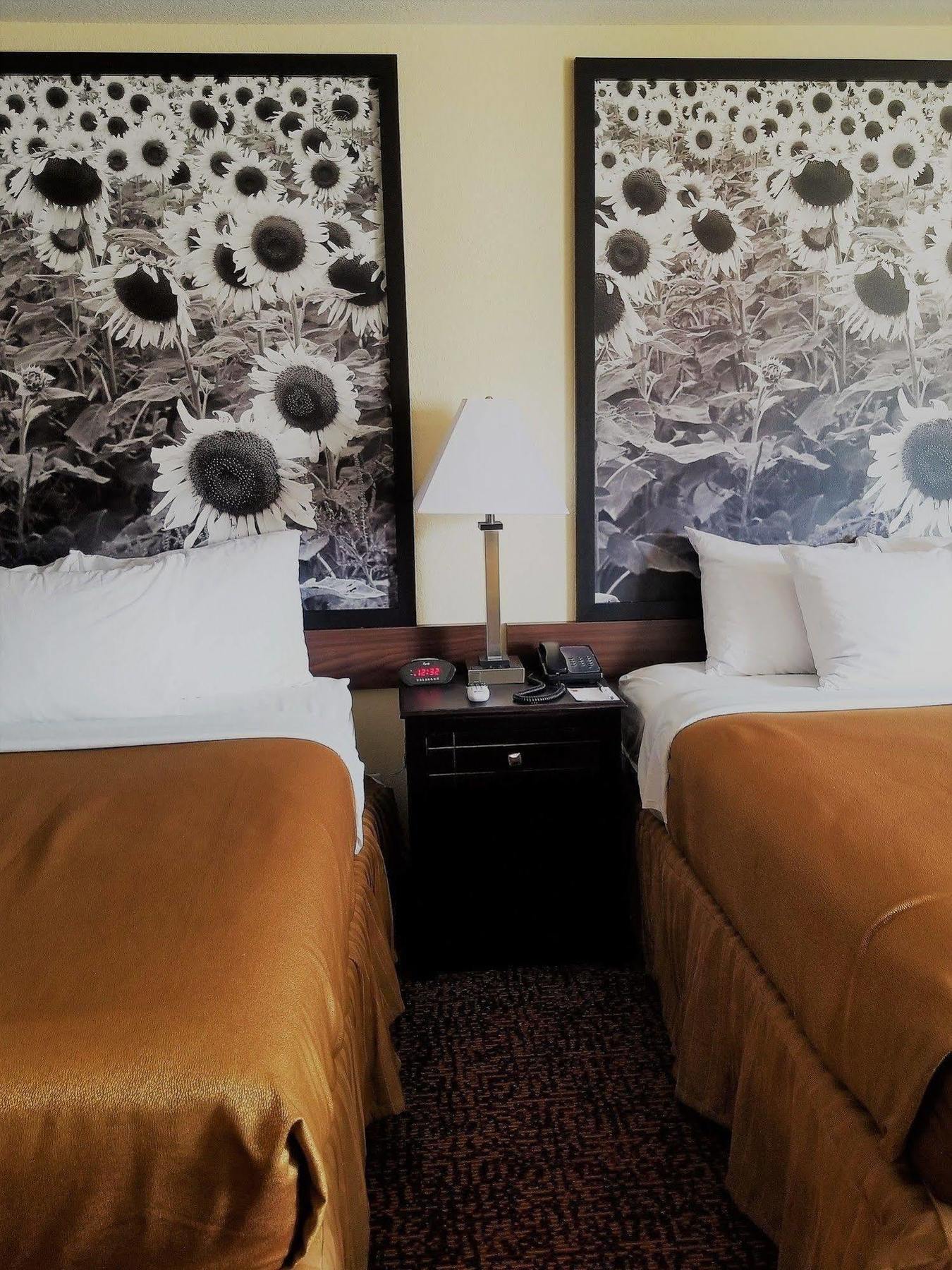 Super 8 By Wyndham Des Moines Hotel Buitenkant foto